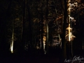 image00001
