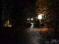 image00003