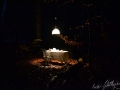 image00009