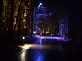 image00014