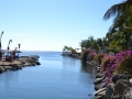 image_00031
