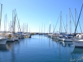 image_00034