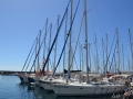 image_00038