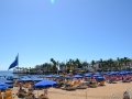 image_00039